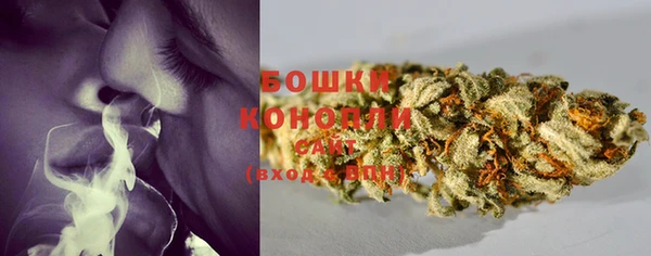 ГАЛЛЮЦИНОГЕННЫЕ ГРИБЫ Баксан