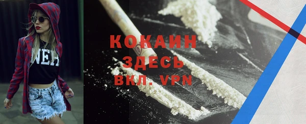 ГАЛЛЮЦИНОГЕННЫЕ ГРИБЫ Баксан