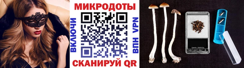 сколько стоит  Лыткарино  kraken маркетплейс  Псилоцибиновые грибы прущие грибы 